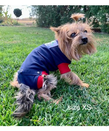 XS Blue Dog Surgical Bodysuit | Wound Protection & Recovery Suit for Dogs | Medical Pet Shirt - Buy Online on GoSupps.com