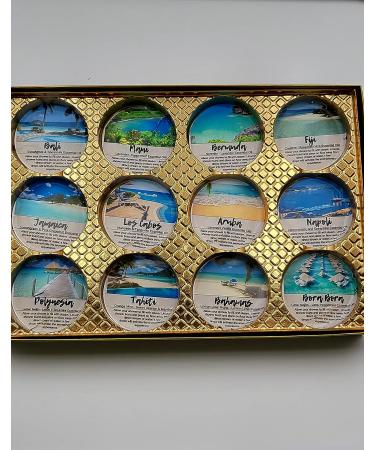 Spa Pure Aromatherapy Shower Bombs | Destination Shower Steamers | 12 Count All Natural Tablets for Men and Women | Rejuvenating New Scents | Bath Melts | 20.0oz Pack - Buy Online on GoSupps.com