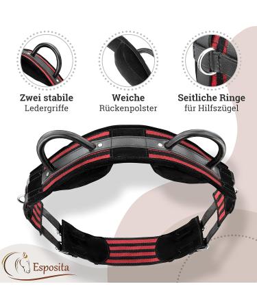 Esposita Riding Strap with Leather Handles - Versatile Lunging & Vaulting Belt for Kids & Riders - Shetty Red-Black - Buy Online on GoSupps.com