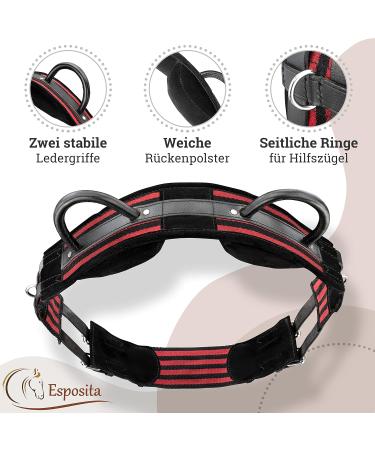 Esposita Riding Strap with Leather Handles - Ideal for Children & Riders | Versatile Lunging & Vaulting Belt | Wooden Horse Accessories - VB/COB Red-Black - Buy Online on GoSupps.com