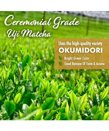 Japanese Oat Milk Matcha Latte Uji Matcha Ceremonial Grade with Oat Milk Instant Latte Mix Dairy-Free 100% Plant Based Vegan No Refined Sugar Made in Japan 100g YAMASAN  - Buy Online on GoSupps.com