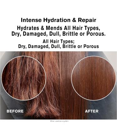SNOBGIRLS HYDRAMEND Hydrating Vegan Shampoo Intense Hydration & Repair New Super Concentrated Shampoo for color treated hair Sulfate free shampoo for Damaged Dry Brittle Porous Hair Prowash Dry hair shampoo. Salon Hair Care (HYDRAMEND) - Buy Online on GoSupps.com