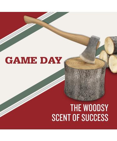 Old Spice High Endurance Game Day Men's Antiperspirant Deodorant Stick 3 Oz, Pack of 6 - Buy Online on GoSupps.com