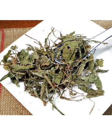 TCM Herbs USA Pu Gong Ying / Herba Taraxaci / Taraxacum / Mongolian Dandelion herb (16 oz)