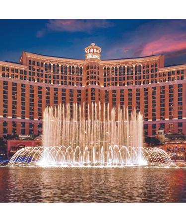 Bellagio Moisturizing Hand Wash - Scented with Cedarwood Green Mandarin Lavender - Cleansing & Hydrating Skin Care - Vegas Hotel Hand Soap - 10 oz - Buy Online on GoSupps.com