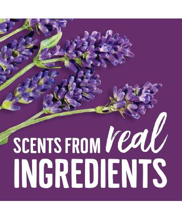 Buy Seventh Generation Fabric Softener Sheets - Fresh Lavender 80 Count | Eco-Friendly & Imported - Buy Online on GoSupps.com