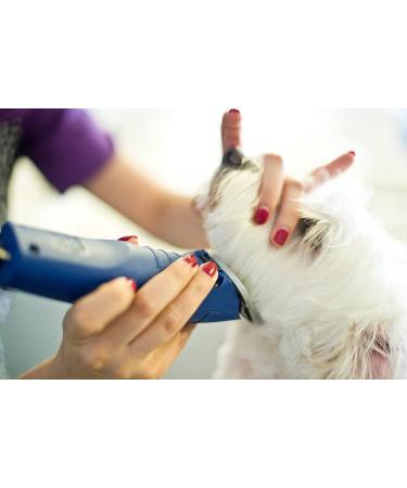Andis UltraEdge Super 2-Speed Detachable Blade Clipper for Professional Animal Grooming - AGC2 Blue - Buy Online on GoSupps.com