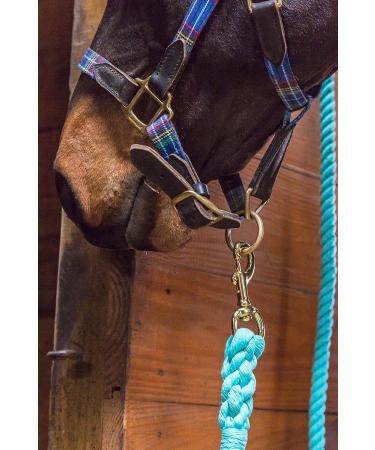 Intrepid International Heavy Duty 10ft Cotton Lead Rope with Brass Snap - Hunter Green - Buy Online on GoSupps.com