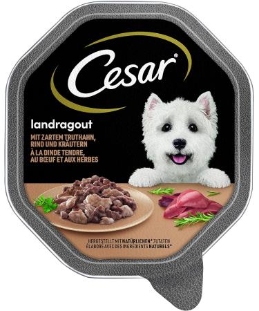 Cesar Adult Dog Food - Turkey & Beef Wet Feed 14 x 150g - Premium Grain-Free No Sugar or Artificial Additives - Buy Online on GoSupps.com