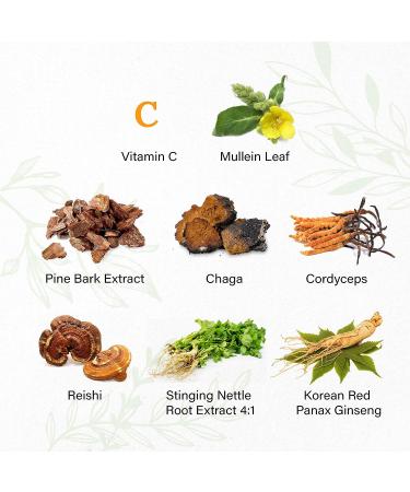 Wild & Organic Lung Health Support Gummies - Respiratory System Aid with Mullein, Pine Bark, Chaga, Cordyceps, Reishi, Stinging Nettle, and Ginseng - 60 Chewables - Buy Online on GoSupps.com