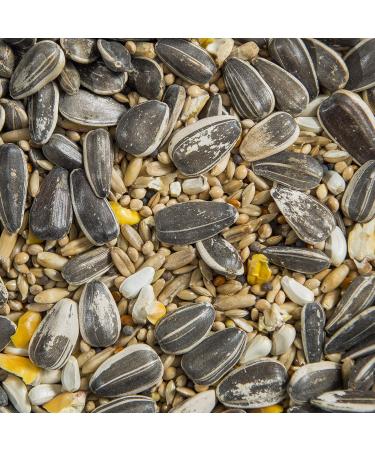 Cockatiel & Lovebird Bird Seed - Buy Online on GoSupps.com