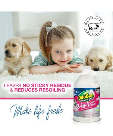 OdoBan 3-in-1 Carpet Cleaner - 128 Fl Oz Citrus | Effective Stain Removal & Odor Elimination - International Shipping Available - Buy Online on GoSupps.com