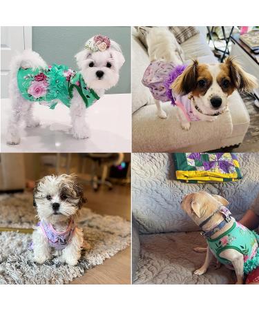 CUSOZWO Small Dog Clothes - 2 Pack Flower Dog Dress for Small Dogs and Cats - Elegant Spring Princess Skirt Outfit (M) - Buy Online on GoSupps.com