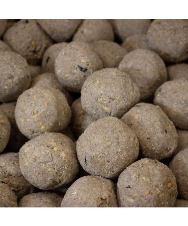 Leagrams 300 Everyday Fat Balls 300 Box - Buy Online on GoSupps.com