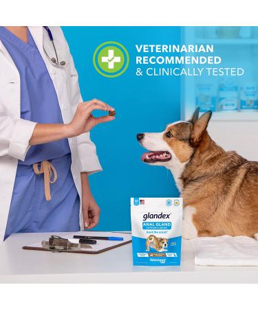Glandex Anal Gland Soft Chew Treats with Pumpkin for Dogs - Probiotics, Digestive Enzymes, Fiber Supplement Vet Recommended Peanut Butter Chews - 60ct - Buy Online on GoSupps.com