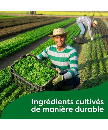 Knorr Chicken Broth 15 tablets 150 g - Buy Online on GoSupps.com