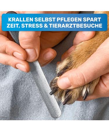 Buy Bluepet 2x Set Claw File Nail File for Optimal Pet Claw Care | Coarse & Fine for Dogs Cats & Small Animals - Buy Online on GoSupps.com