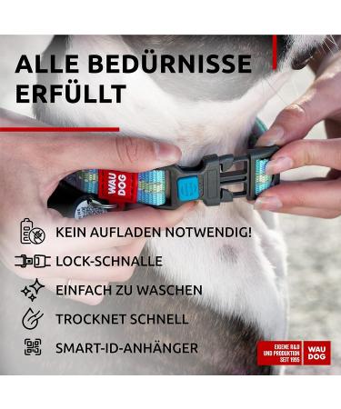 Reflective Nylon Dog Collar for Large Medium & Small Dogs | Adjustable Blue Puppy Collar | 24-40 cm Length & 20 mm Width - Buy Online on GoSupps.com