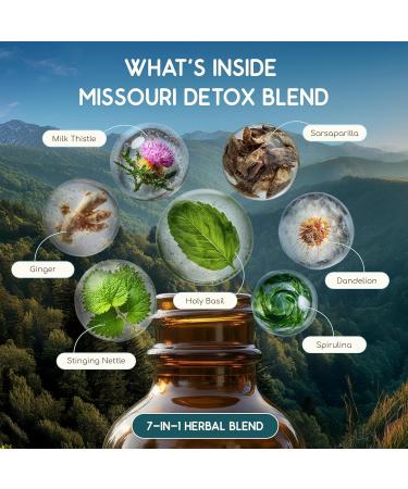 HerbEra Missouri Herbal Detox Blend - USDA Organic Extract Made in USA | Immune & Liver Support Liquid Drops | Dandelion Root Ginger Milk Thistle Sarsaparilla Holy Basil | 2 fl oz - Buy Online on GoSupps.com