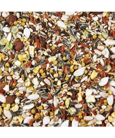 Parrot Food Premium Seed Mix 5 L Carrot 5 l (Pack of 1) - Buy Online on GoSupps.com