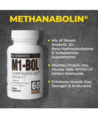 Avry Labs Extreme Anabolic Supplement | Turkesterone for Muscle Growth Strength & Testosterone | Vegan 60 Capsules - Buy Online on GoSupps.com