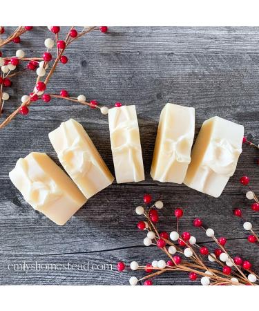 Emily's Homestead Natural Bar Soap - Exfoliating Peppermint Oatmeal 1 Bar | Eco-Friendly International Shipping - Buy Online on GoSupps.com
