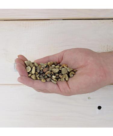 Landare Pebble Stones 1.8kg - Decorative Stones for Vases & Garden | Small Gravel (6-10mm) - Perfect for Home Decoration - Buy Online on GoSupps.com