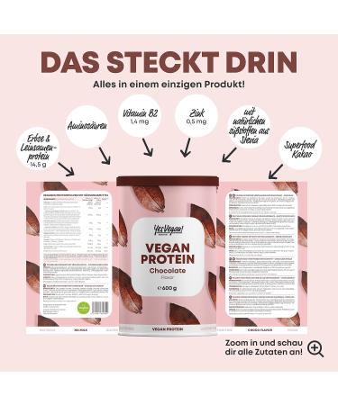 Buy Vegan Protein Powder with B2 & Zinc - Includes Free Shaker - Chocolate Flavor & More | Dairy-Free Alternative to Whey - Buy Online on GoSupps.com