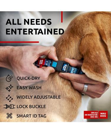 Shop Waudog Adjustable Nylon Dog Collar - Ethno Blue for Large & Medium Dogs (31-49 cm 25 mm Width) | Durable & Stylish Neck Band - Buy Online on GoSupps.com