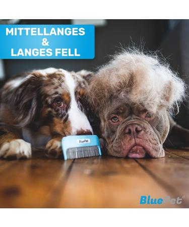 Buy Bluepet Zauberkamm - Patented Rotating Tines for Long-Haired Dogs Cats & Humans - Knot Removal & Fur Detangler - International Shipping Available - Buy Online on GoSupps.com