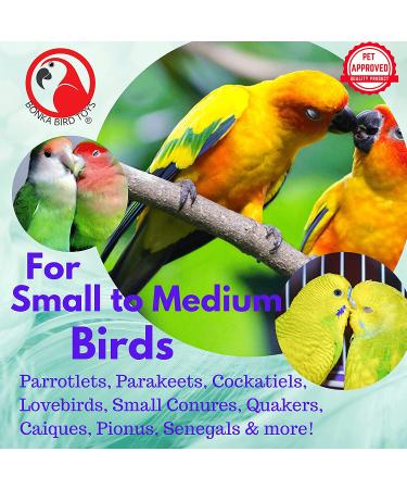 Colorful Plastic Bell Paci Pull Toy for Parrots and Similar Birds - Interactive and Pullable with Acrylic Ring & Pacifier - Buy Online on GoSupps.com