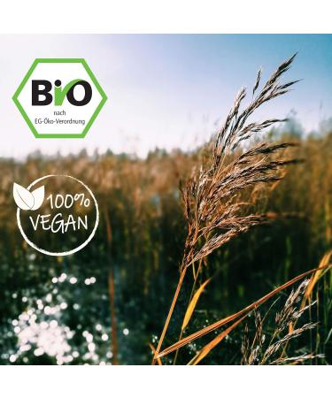 Rimoco N 910 Bio Turmeric - Spicy & Earthy Herb for Indian Cuisine | Organic DE- KO-007 | 70g Eco-Friendly Zip Bag - Buy Online on GoSupps.com