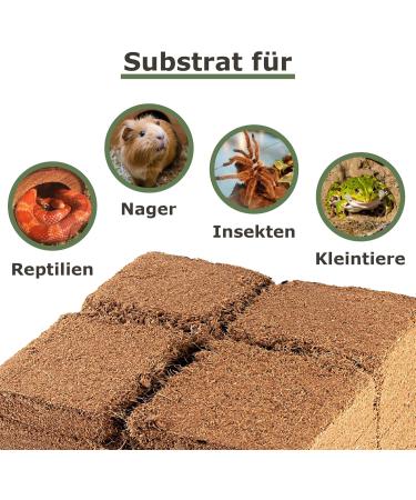 Humus Brick - 70L Coconut Litter for Reptiles | Eco-Friendly Terrarium Substrate & Turtle Bedding - Buy Online on GoSupps.com