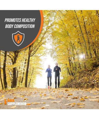 White Kidney Bean Extract Powder - 1500mg per Serving - Digestive Support & Protein Source - Gluten Free - 250g (8.8 oz) - 167 Servings - Buy Online on GoSupps.com