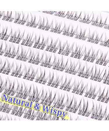 Shop Natural Lash Clusters Wispys - Premium Eyelash Extensions for Stunning Eyes | Worldwide Shipping - Buy Online on GoSupps.com