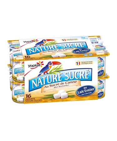Yoplait Yaourt Nature Sucr 16 x 125 g