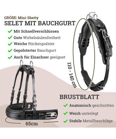 Esposita Professional Carriage Dishes for Shetty Pony & Horse - Mini Shetty to XL Cold Blood - Durable & Stylish - Buy Online on GoSupps.com