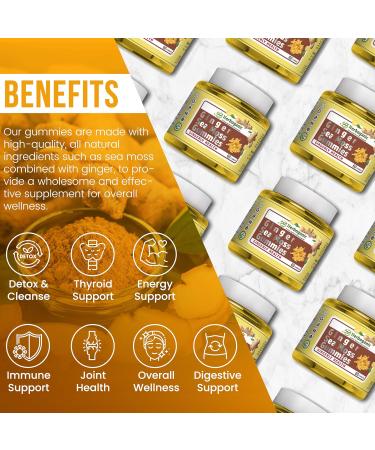 HERBOGANIC Ginger Sea Moss Gummies - Herbal Support for Immune & Digestive Health - Plant-Powered Gluten-Free & Vegan-Friendly - 60 Count Ginger 60 Count (Pack of 1) - Buy Online on GoSupps.com