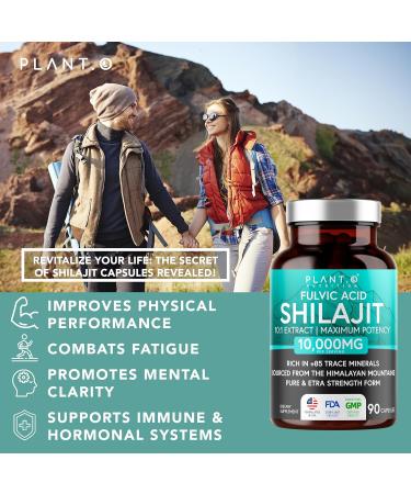Pure Himalayan Shilajit for Men & Women, 10,000 mg Maximum Potency with Fulvic Acid & Trace Minerals to Enhance Energy and Immune Support, 90 Veggie Pills - Buy Online on GoSupps.com