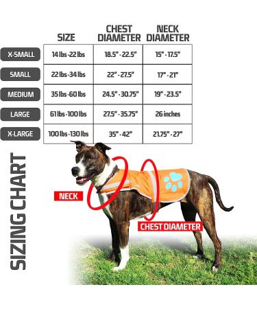 SafetyPUP XD - Reflective Dog Vest | Hi-Visibility Blaze Orange Vest for Medium Dogs | Protect Your Pup from Accidents - Buy Online on GoSupps.com