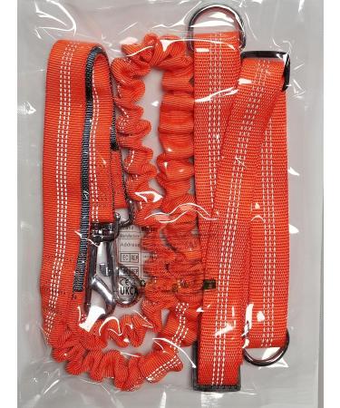 Aiqeer Orange Hands Free Dog Leash Adjustable Waist Belt and Retractable Bungee Leash Jogging Dog Leash with Reflective Stitching (Grey Handle) - Buy Online on GoSupps.com