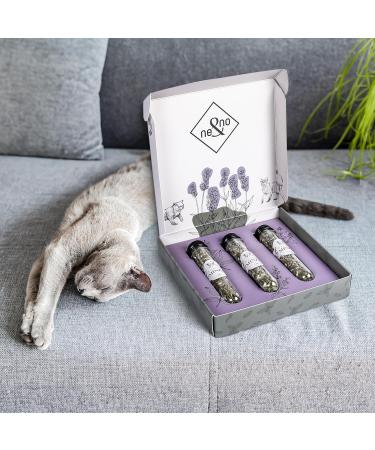 ne & no Gift Set with Natural Catnip | 3-Series Airtight Pack | Perfect Cat Toys Scratch Mats & Trees | Dried Cat Grass & Mint - Buy Online on GoSupps.com