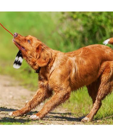 Outward Hound Blue Tail Teaser Wand - Interactive Dog Training Toy and Agility Kit - Buy Online on GoSupps.com