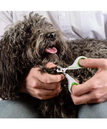 Harzara Professional Pet Nail Clippers. Best for a Cat Puppy Kitten & Small Dog. Bonus Storage Bag & Instruction Card. Great Trimmer for Grooming - Buy Online on GoSupps.com