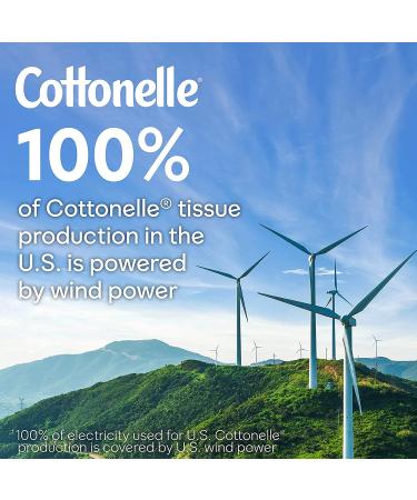 Cottonelle Fresh Care On-the-Go Flushable Wet Wipes - 336 Total Wipes, Adult Wet Wipes, 24 Resealable Packs - Buy Online on GoSupps.com