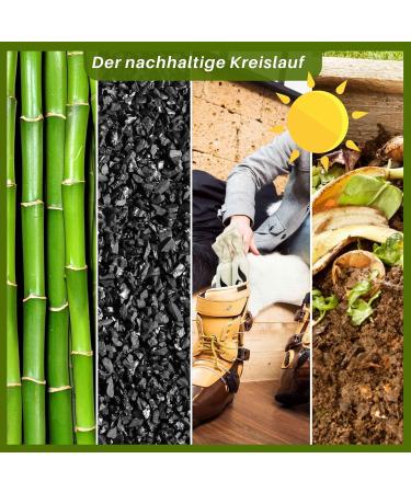 BlueFox I Air Purifier & Dehumidifier - Activated Carbon 2x150g | Odor Remover & Freshener for Boots & Shoes - Buy Online on GoSupps.com