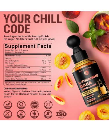 L Theanine and GABA Supplements | GABA Calming with Lemon Balm Extract, L-Theanine and Magnesium with B6 | Liquid GABA L Theanine Supplements | Stress Relief & Relaxation GABA Drops - Buy Online on GoSupps.com