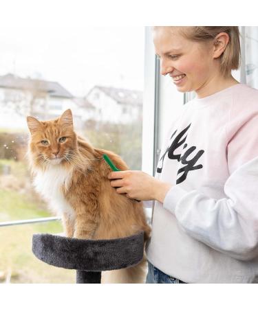 Finopet De-Filtering Brush & Tools for Dogs & Cats | Knot & Matt Remover Undercoat Comb - Buy Online on GoSupps.com