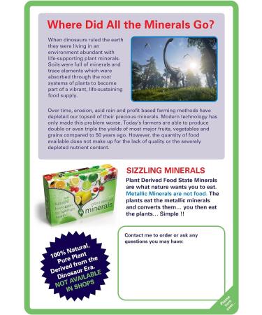 Sizzling Plant-Derived 75 Minerals Orange & Natural Flavour - Bio-Available Formula - Buy Online on GoSupps.com