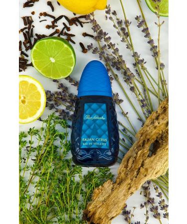 Pino Silvestre Italian Citrus Perfume for Men - Woody Aromatic Scent - Blended with Lemon Pine Apple Patchouli and Musk - for Calm Collective Gentlemen - 4.2 oz EDT Spray - Buy Online on GoSupps.com